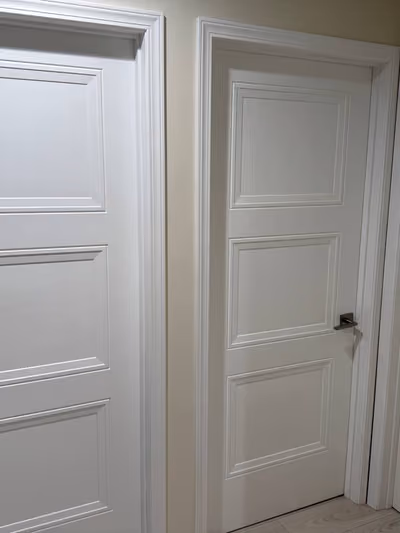 Two white paneled interior doors with satin nickel lever handles